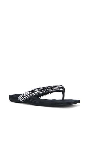 Jenna Tubular Flat Thong Sandal in . Size 35. Also in 38 - Alexander Wang - Modalova
