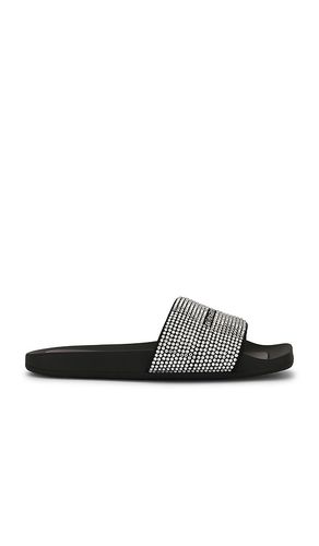 PANTOLETTE HOTFIX POOL in . Größe 36. Also in 39, 40 - Alexander Wang - Modalova