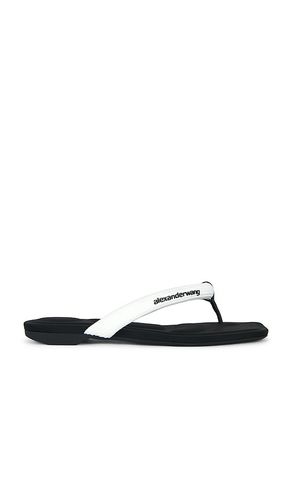 SANDALE JENNA TUBULAR FLAT THONG in . Größe 35. Also in 36 - Alexander Wang - Modalova
