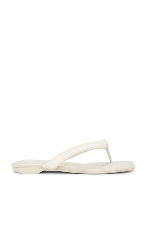 Jenna Tubular Flat Thong Sandal in . Size 37. Also in 39 - Alexander Wang - Modalova