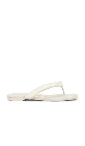SANDALE JENNA TUBULAR FLAT THONG in . Größe 37. Also in 39 - Alexander Wang - Modalova