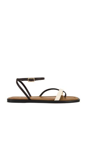 Miane Sandals in Brown. - size 36 (also in 37, 39, 40) - ATP Atelier - Modalova
