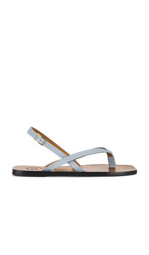 Teolo Sandals in . Size 36. Also in 39 - ATP Atelier - Modalova