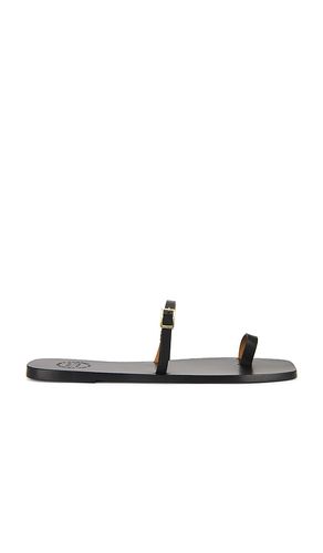Dongo Sandals in . - size 36 (also in 37, 38, 39) - ATP Atelier - Modalova