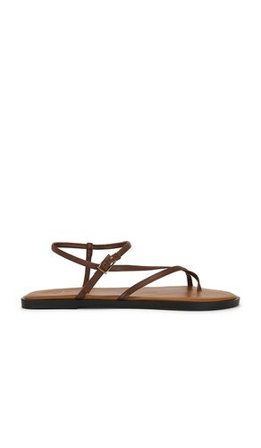 SANDALE CAPRI in . Größe 36. Also in 37, 38, 39 - ATP Atelier - Modalova