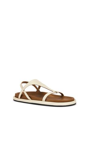 Ultimo Sandal in . Size 36. Also in 37, 38 - ATP Atelier - Modalova