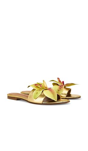 Martha Sandal in Metallic . - size 36 (also in 37, 38, 39, 40) - Alameda Turquesa - Modalova