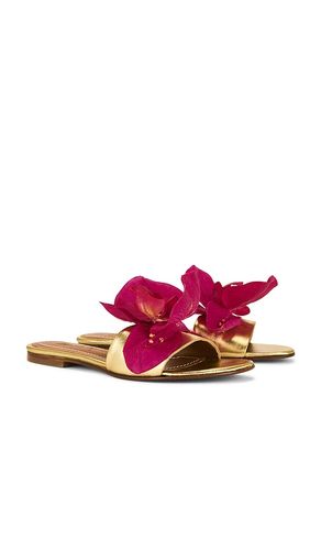 Ophelia Sandal in Metallic . - size 36 (also in 37, 38, 39, 40, 41) - Alameda Turquesa - Modalova