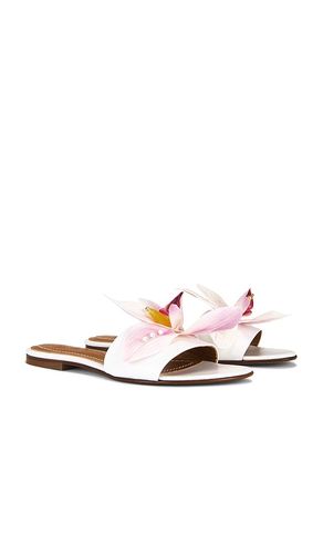 Ophelia Sandal in . - size 37 (also in 38, 39, 41) - Alameda Turquesa - Modalova