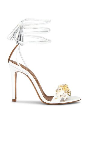 Sirena Sandal in . Size 36. Also in 37, 38 - Alameda Turquesa - Modalova