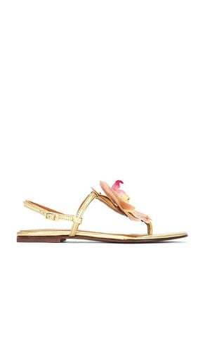 Constance Sandal in Metallic . - size 36 (also in 37) - Alameda Turquesa - Modalova