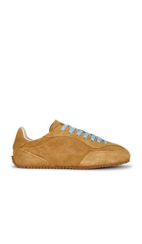 Daze Runner in . - size 41 (also in 42, 43, 44, 45) - Axel Arigato - Modalova