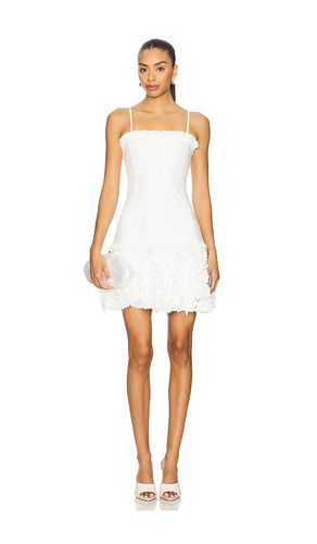 KLEID AMRISA in . Größe S. Also in XS - Alexis - Modalova