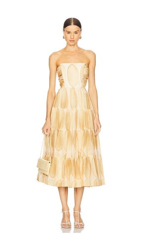 Dawne Dress in Tan. - size L (also in M, S) - Alexis - Modalova