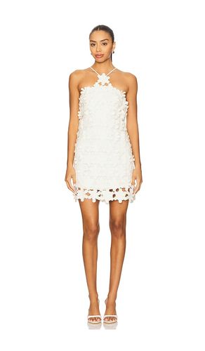 Lily Dress in . - size M (also in S, XS) - Alexis - Modalova