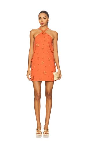 Milaa Dress in Orange. - size L (also in M, S, XS) - Alexis - Modalova