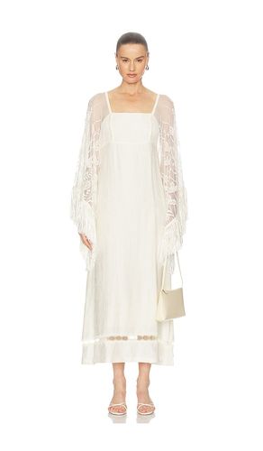 KLEID EVIENNE in . Größe M. Also in S, XS - Alexis - Modalova