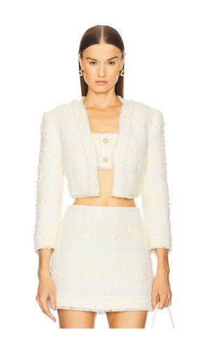 Benning Jacket in . - size L (also in S, XL) - Alexis - Modalova
