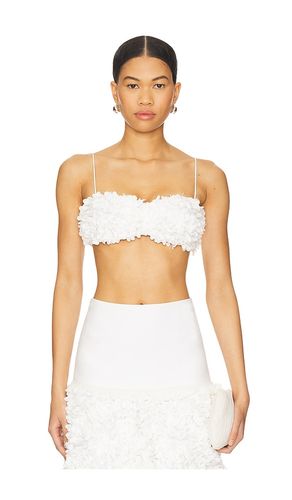 Risi Top in . - size L (also in M, S, XS) - Alexis - Modalova