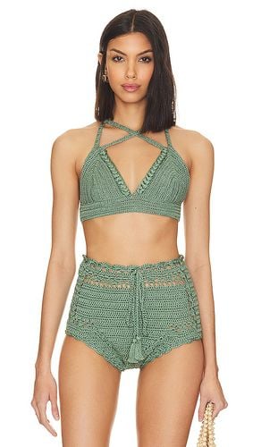 Chazca Bikini Top in Sage. - size XL (also in XS) - AYNI - Modalova