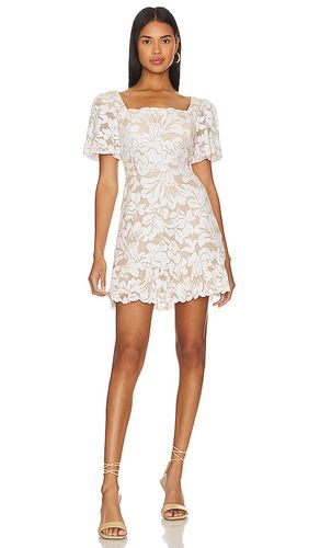 Lace Short Evening Dress in White. - size 4 (also in 6) - BCBGMAXAZRIA - Modalova