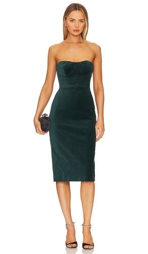 Velvet Bustier Dress in Green. - size 0 (also in 2, 4, 6, 8) - BCBGMAXAZRIA - Modalova