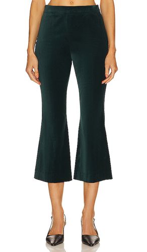 Velvet Crop Pant in Dark Green. - size 10 (also in 2, 4, 8) - BCBGMAXAZRIA - Modalova