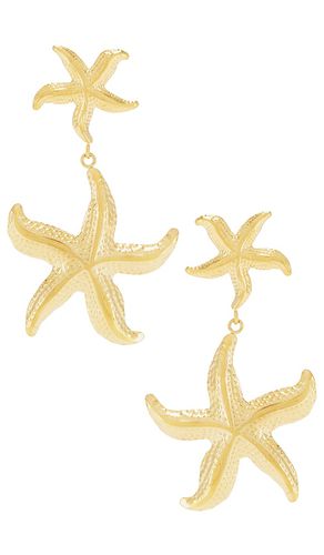 Starfish Earrings in - BRACHA - Modalova