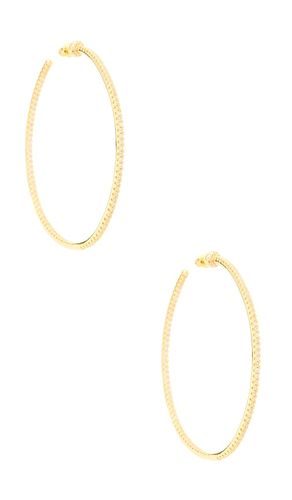 Wildside Hoops in - BRACHA - Modalova