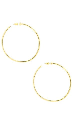 Wildside Hoops in - BRACHA - Modalova