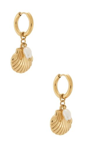Cove Earrings in - BRACHA - Modalova