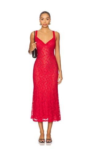 Alegra Stretch Lace Midi Dress in Red. - size 10 (also in 12, 2, 4, 6, 8) - Bardot - Modalova
