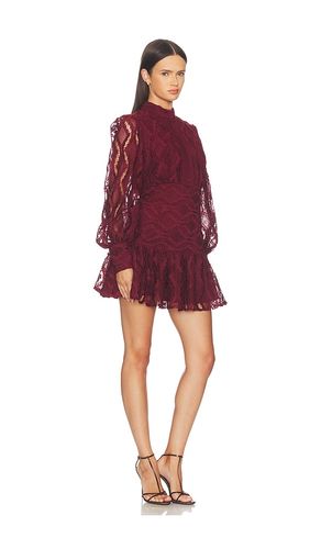 SPITZENKLEID LACE in . Größe 4. Also in 2, 6, 8, 10, 12 - Bardot - Modalova