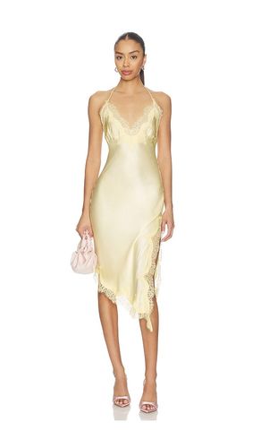 KLEID SILVIO in . Größe 10. Also in 6 - Bardot - Modalova