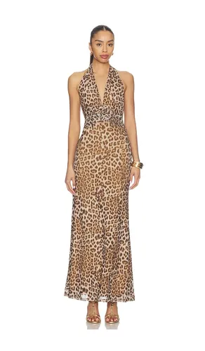 Elera Printed Mesh Maxi Dress in Brown. - size 12 (also in 2, 4, 6, 8) - Bardot - Modalova