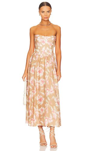 Bardot KLEID LOLA in Tan. Size 8 - Bardot - Modalova