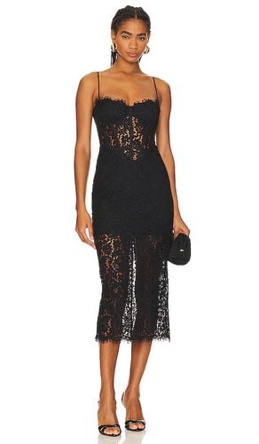 Olina Corset Midi Dress in . - size 12 (also in 8) - Bardot - Modalova