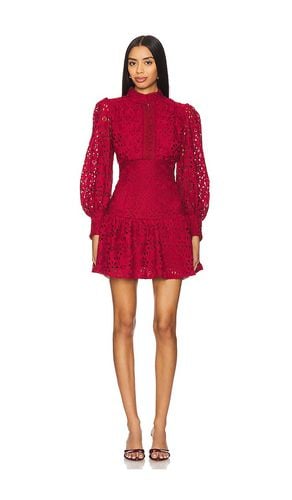 Remy Lace Dress in . Taglia 4, 6 - Bardot - Modalova