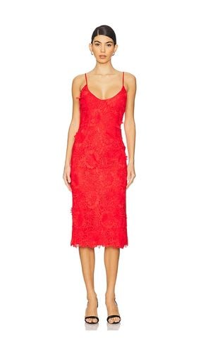 Adei Midi Dress in . Size 12, 2, 4, 6, 8 - Bardot - Modalova