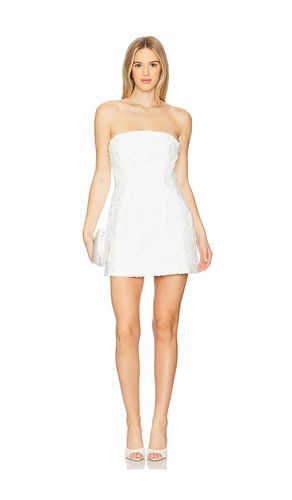 Karoline Hourglass Dress in . Taglia 2, 4, 6, 8 - Bardot - Modalova