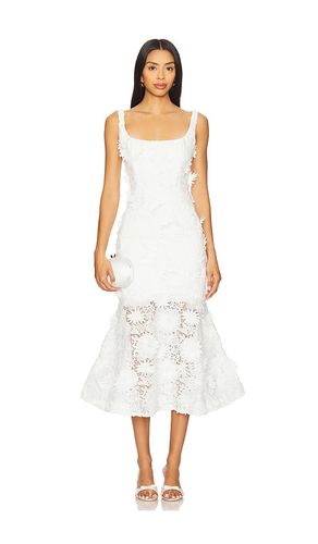 Marico Lace Midi Dress in White. - size 10 (also in 12, 2, 4, 6, 8) - Bardot - Modalova