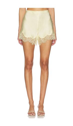 SHORTS SILVIO in . Größe 4. Also in 2, 6, 8, 10, 12 - Bardot - Modalova