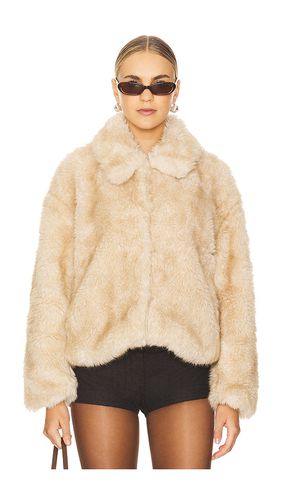 Sarissa Faux Fur Jacket in Tan. - size 12 (also in 10, 2, 4, 6, 8) - Bardot - Modalova