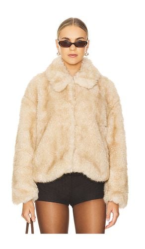 Sarissa Faux Fur Jacket in Tan. - size 12 (also in 2, 4, 6, 8) - Bardot - Modalova