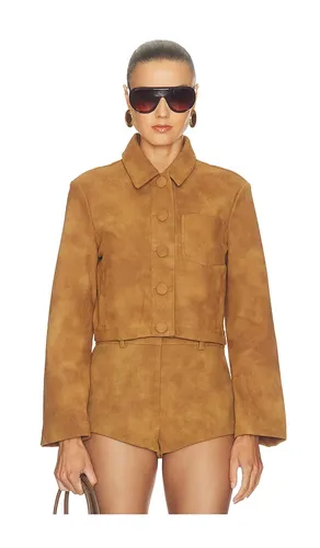 Lorenzo Croc Faux Suede Jacket in . Größe 4. Also in 2, 6, 8, 10, 12 - Bardot - Modalova