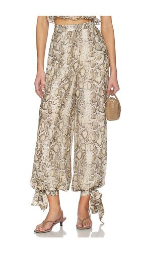 Alira Printed Balloon Pant in . Size 2. Also in 4, 6, 8, 10, 12 - Bardot - Modalova