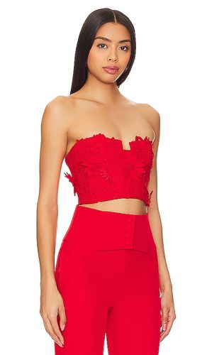 Brias Bustier in . Size 10. Also in 12, 2, 4, 6, 8 - Bardot - Modalova