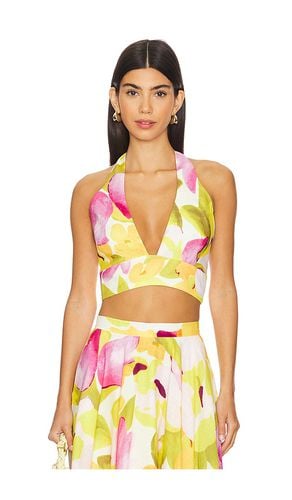 Nicolette Halter Crop Top in Yellow. - size 10 (also in 12, 2, 4, 6, 8) - Bardot - Modalova