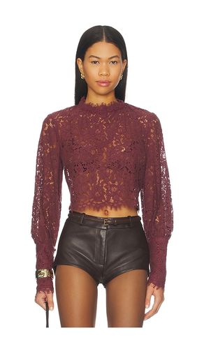 Lace Georgia Top in Burgundy. - size 10 (also in 12, 2, 4, 6, 8) - Bardot - Modalova