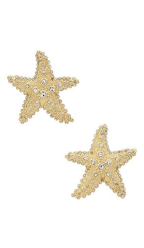 HÄNGEOHRRINGE TEXTURED SEASHELL in - BaubleBar - Modalova